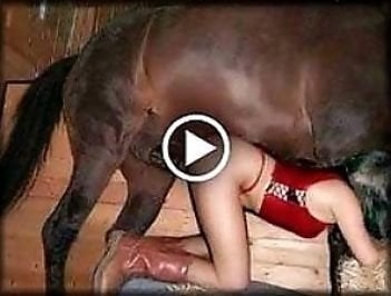 Animal porn and zoo sex