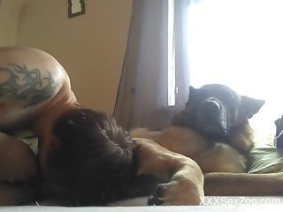 Hot guy with a sexy gaze sucking a dog's boner