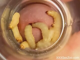 Man feels aroused by putting his dick in a jar filed with worms