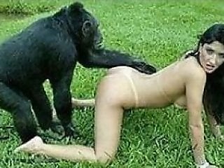Zoo porno and bestiality